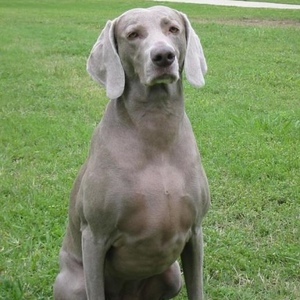 Profile Picture of Hailey Bee (@haileybee12) on Myspace