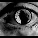 Profile Picture of Andrew Steirer (@andrewsteirer) on Pinterest
