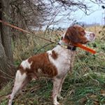 Profile Picture of Josh Payne (@josh_payne275) on Instagram