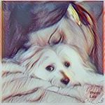 Profile Picture of Wanda Claudio (@wandye05) on Instagram