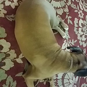 Profile Picture of James Herndon (@tebow9799) on Myspace