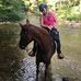 Profile Picture of Kim Mangum Carle (@kim.m.carle) on Facebook
