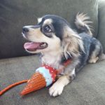 Profile Picture of Monica Coffman (@monica.coffman.10) on Instagram