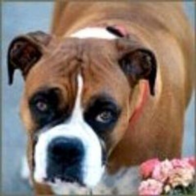Profile Picture of Keith Bloom (@KeithBloom6) on Twitter