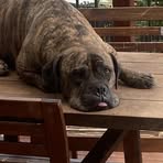 Profile Picture of Daniel Roodt (@daniel.roodt.423500) on Facebook