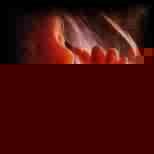 Profile Picture of Lo Svarione Della Scimmia (@losvarionedellascimmia) on Myspace