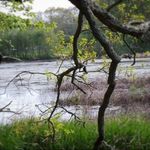 Profile Picture of Matt Maura (@regular_guy_69) on Instagram