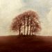 Profile Picture of Andrew Barrow (@wine_scribbler) on Pinterest