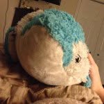 Profile Picture of steven (@steven_dolphin) on Instagram