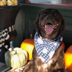 Paul Radziewicz - Facebook Profile Picture of Paul Radziewicz (@paul.radziewicz.3) on Facebook