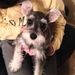 Profile Picture of Stacey Higgins (@higgins1916) on Pinterest