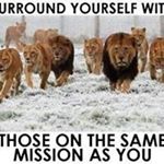 Profile Picture of Forest Joe (@forest.joe) on Instagram