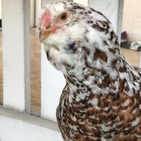 Profile Picture of Bori Kim (@bori-kim-3) on Quora