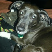 Profile Picture of David Warman (@david261175) on Youtube