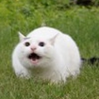 Profile Picture of Silas Warner (@silas-warner-1) on Quora