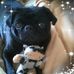 Profile Picture of Daniel Markoff (@daniel.markoff.735) on Facebook