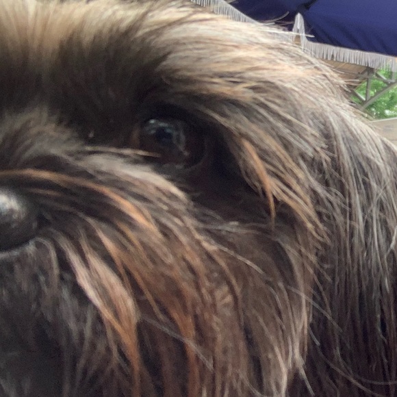 Profile Picture of Lee Nimocks (@leeinlex) on Poshmark