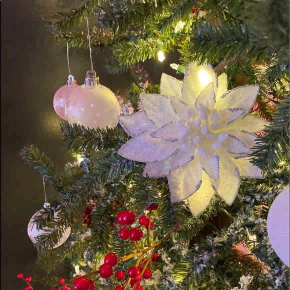 Profile Picture of Addison Collins (@collinsa14) on Poshmark