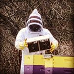 Chris Donoghue - Instagram Profile Picture of Chris Donoghue (@barbarianwookie) on Instagram