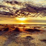 Profile Picture of Stephen Proffitt (@stephenproffitt) on Instagram