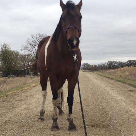 Profile Picture of Caitlyn Bjoraker (@caitlynbjoraker) on Poshmark