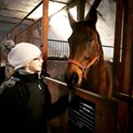Profile Picture of Lisa Mazanke (@_forever_heart_for_horses_) on Instagram