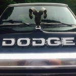 Profile Picture of Andrew (@andrew__koval) on Instagram