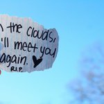 Profile Picture of Hello ;) gannons gang (@bree_2021) on Instagram