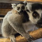 Profile Picture of Chris Bonney (@Chris-Bonney) on Facebook