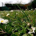 Profile Picture of _Lisa_cotroneo💎_ (@_lisa_cotroneo_) on Instagram