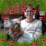 Profile Picture of Diane Haley (@diane.haley.50552) on Instagram