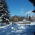 Profile Picture of Lorenzo Robins (@lorenzorobins) on Instagram