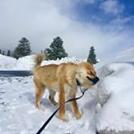 Profile Picture of Tim Moser (@tim.moser.7503) on Instagram