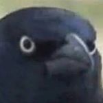 Profile Picture of Morgan Baumgartner (@morgan_amulet) on Instagram