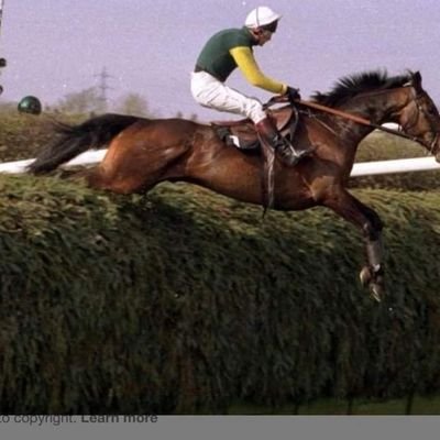 Profile Picture of Robert Pearce (@Robpea11) on Twitter