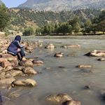 Profile Picture of Saba Rasheed Malik (@saba_malik44) on Instagram