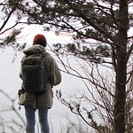 Profile Picture of Mandy Evans (@cheebee32) on Flickr