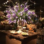 Profile Picture of Amelia Correa Urrutia (@ameliacorreaurrutia) on Instagram