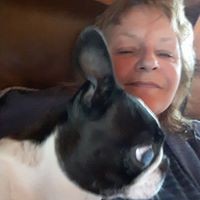 Profile Picture of Dori Cohen (@dori-cohen-4) on Quora