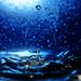 Profile Picture of Lisa Tidwell (@lisamtidwel2633) on Pinterest