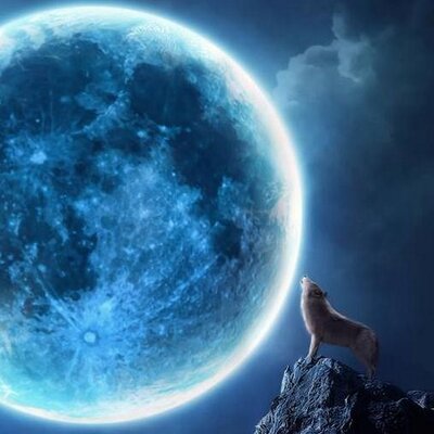 Michael Caniglia - Twitter Profile Picture of Michael Caniglia (@m_caniglia) on Twitter