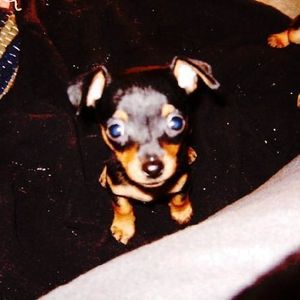 Profile Picture of Flor Nieves (@434475642) on Myspace