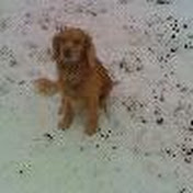 Profile Picture of Darren Bunting (@darrenbunting16) on Youtube