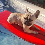 Profile Picture of Coby John Sanchez (@coby.coby18) on Instagram