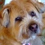 Profile Picture of Jimmy D. Troska (@jimmy.troska) on Facebook