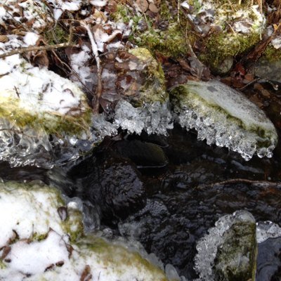 Profile Picture of Joel Van Loon (@joelvanloon) on Twitter