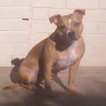 Profile Picture of Ste Jeno Jennison (@stephenjeno1984) on Instagram