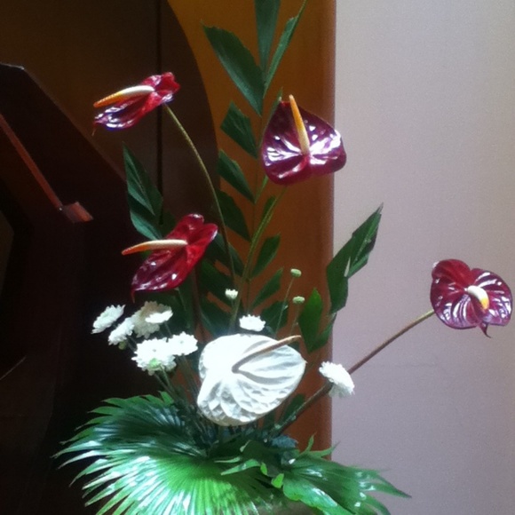 Scarlet Ciubal - Poshmark Profile Picture of Scarlet Ciubal (@littlescarlight) on Poshmark