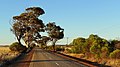 Profile Picture of Major roads in the Wheatbelt region of Western Australiaon Wikipedia