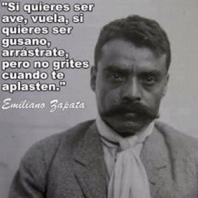 Profile Picture of Rodolfo Chaparro (@fitochap) on Twitter